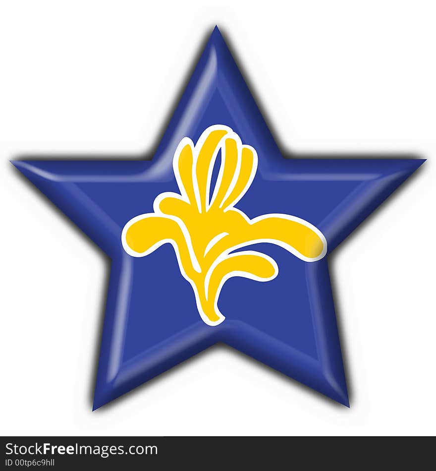 Flag of Brussels (Belgium) star shape