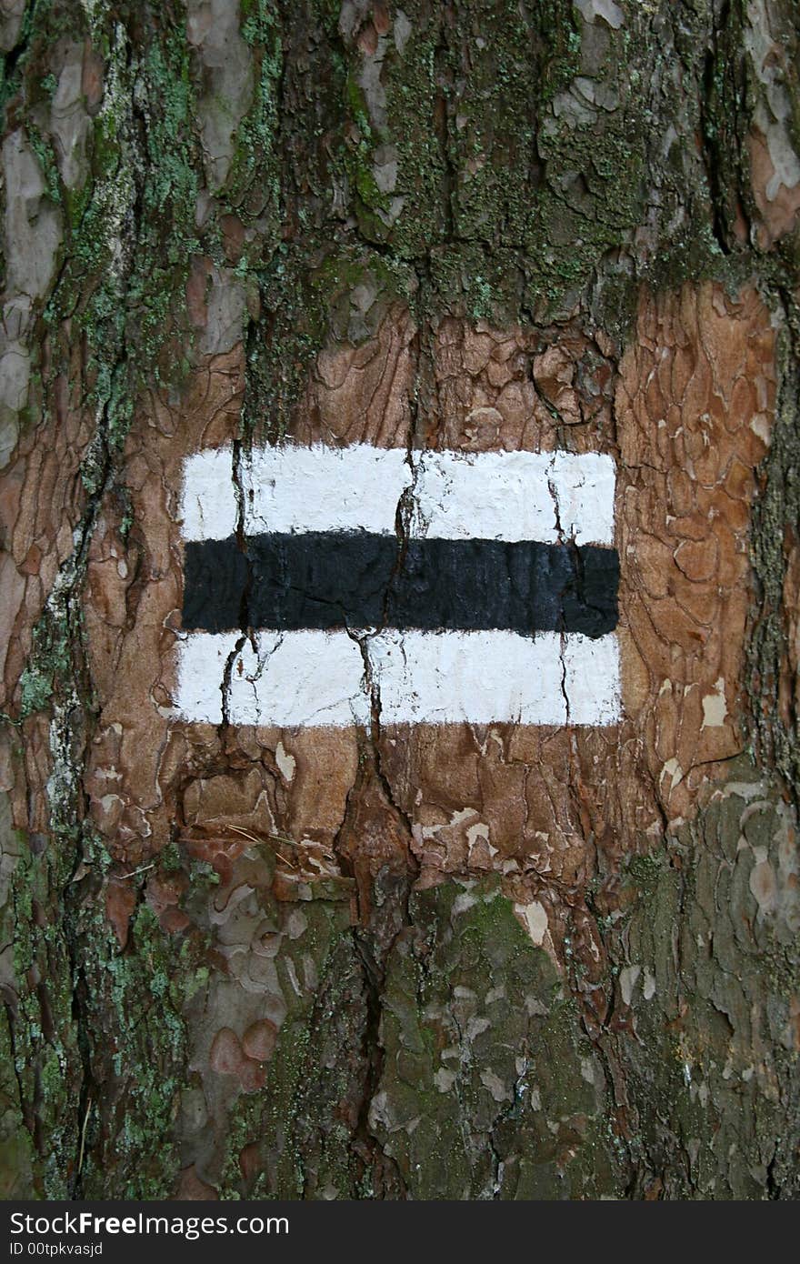 Black hiking trail, 
sign on tree