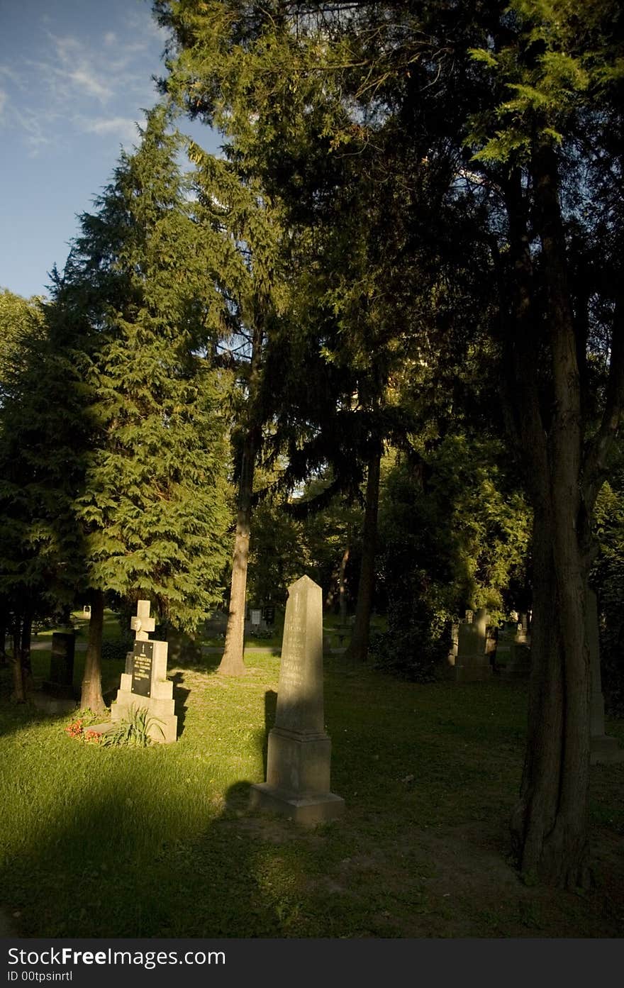 Cemetery with fresh green trees