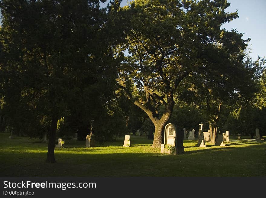 Religious cemetery with fresh green trees and grass