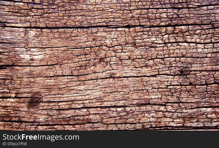 Closeup of wooden texture can be used as a background.