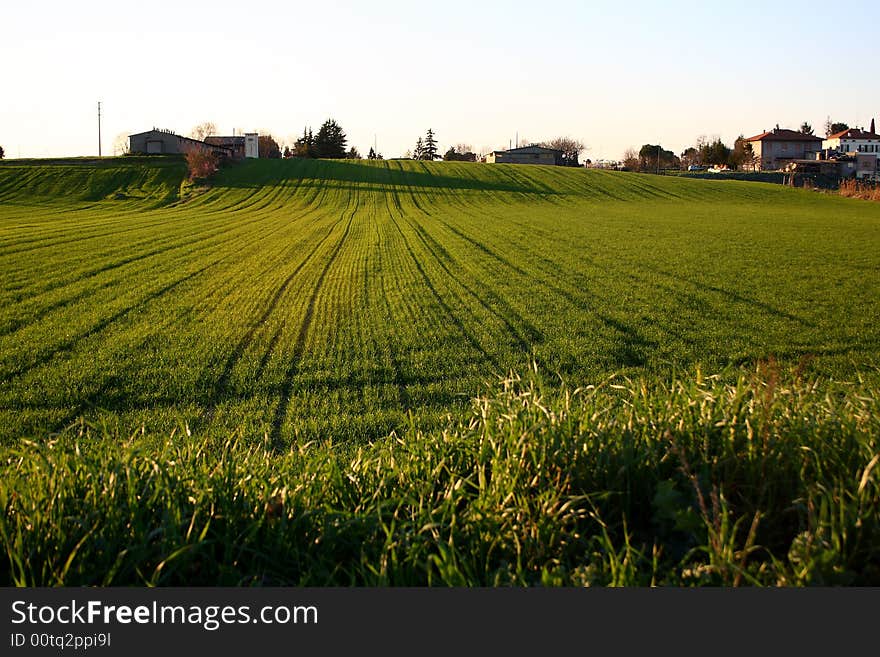 Campagna  Campaign verde Green
primavera Spring. Campagna  Campaign verde Green
primavera Spring