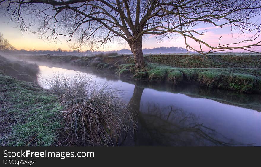 Was taken very early morning in Richmond Park (London). Was taken very early morning in Richmond Park (London)