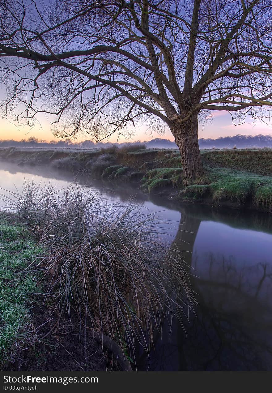 Was taken very early morning in Richmond Park (London). Was taken very early morning in Richmond Park (London)