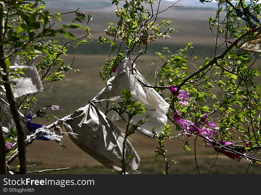 Buddhist and animist prayer in trees in siberia. Buddhist and animist prayer in trees in siberia