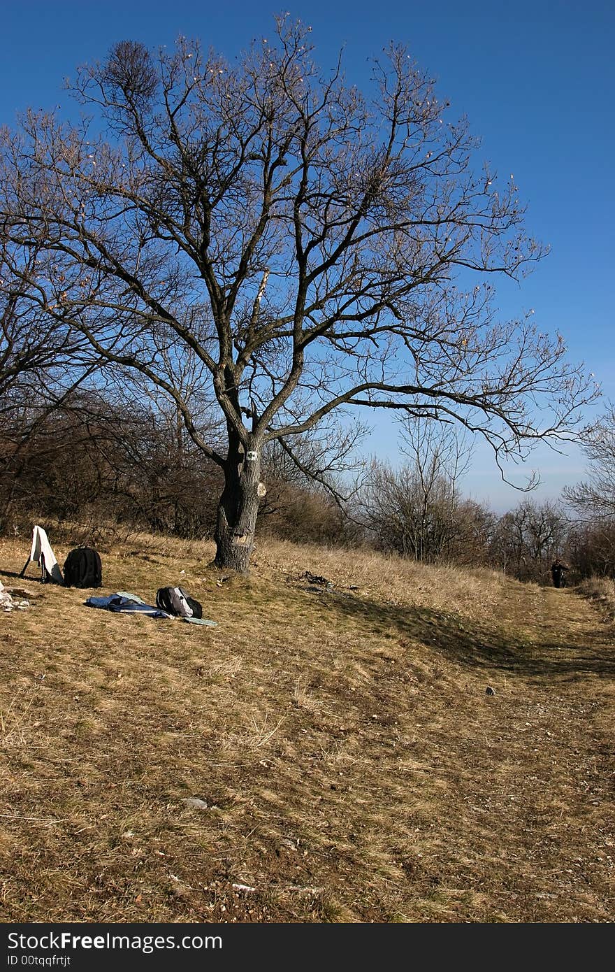 Resting under a tree in autumn. Resting under a tree in autumn