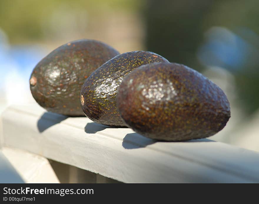 Three Avocados