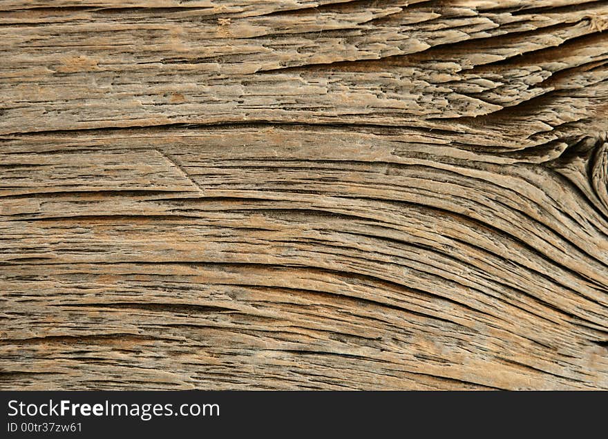 Texture of old wood