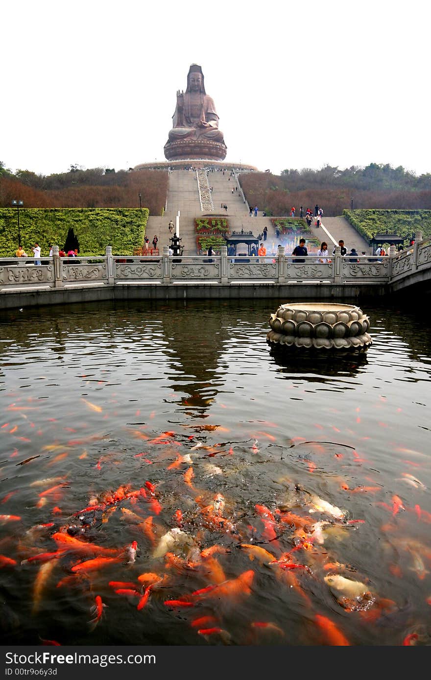 Arya Avalokiteshvaral is the Reincarnation of Mercy,who is never say no to the seekers of help.This statue is 61.9M,which is the highest seating bronze statue for Arya Avalokiteshvaral in the world,located in Foshan,Canton,PRC.