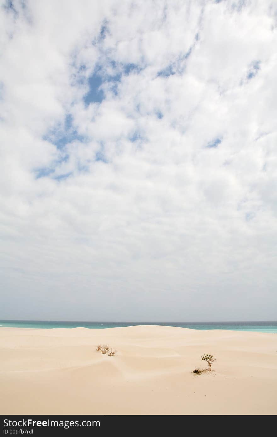 Beach on Socotra island