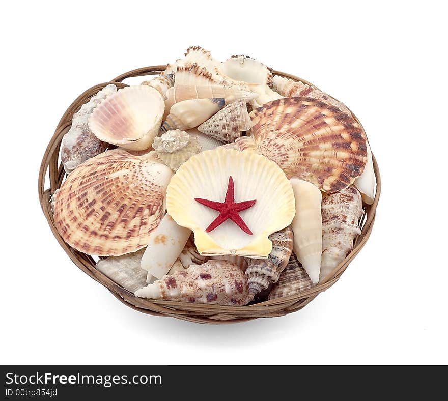 Set of seashells with red star in basket isolated on white background