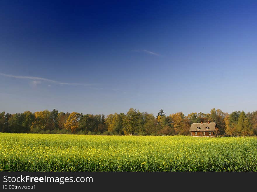 Beautiful countryside landscape in the autumn day