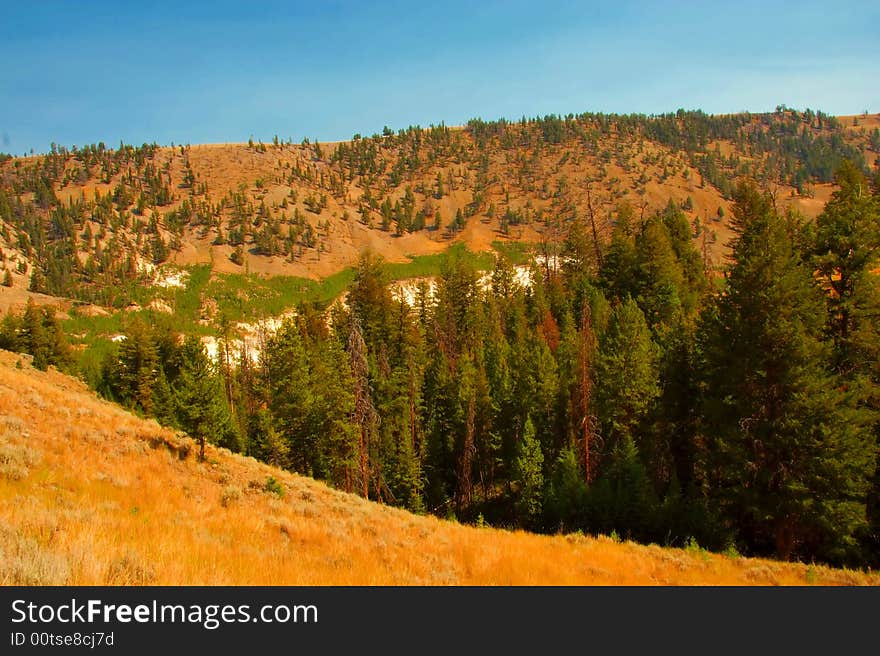 Yellowstone Park