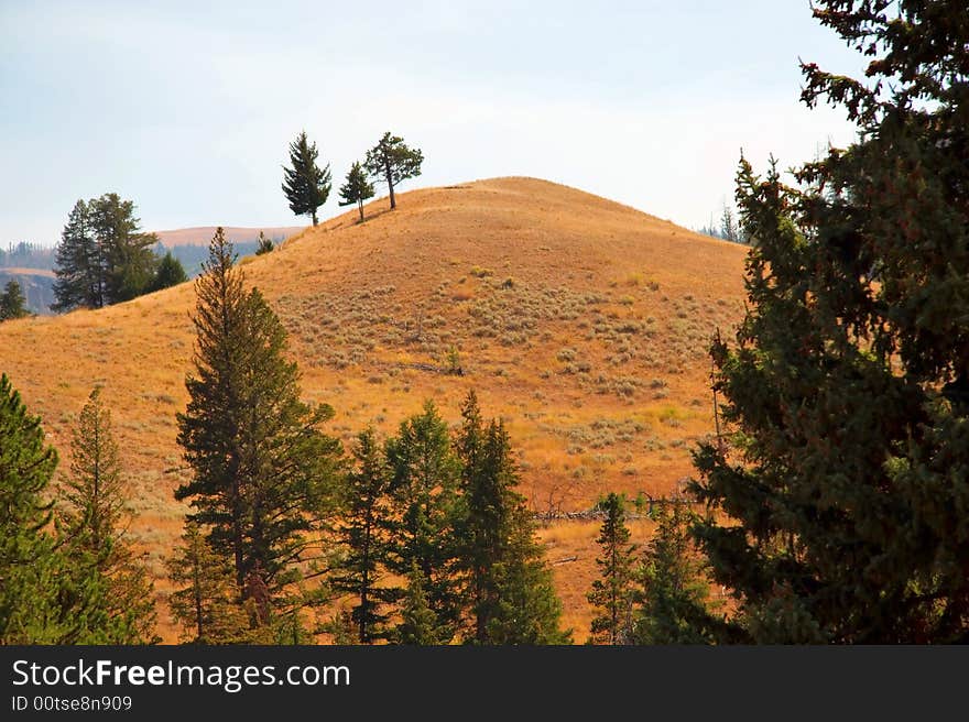 A hill located in a secluded area of Yellowstone Park.