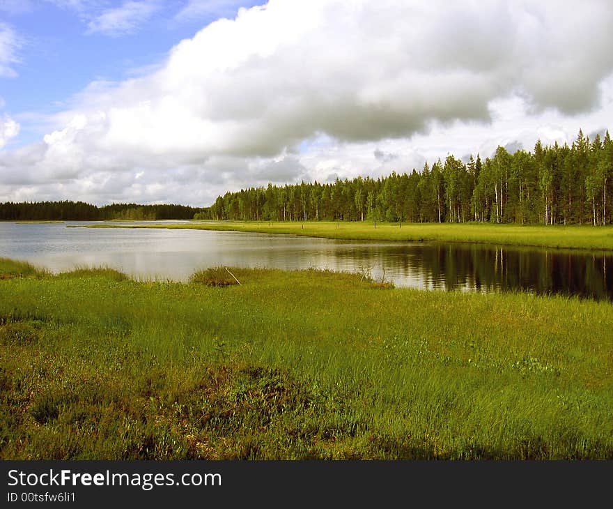 A forest lake