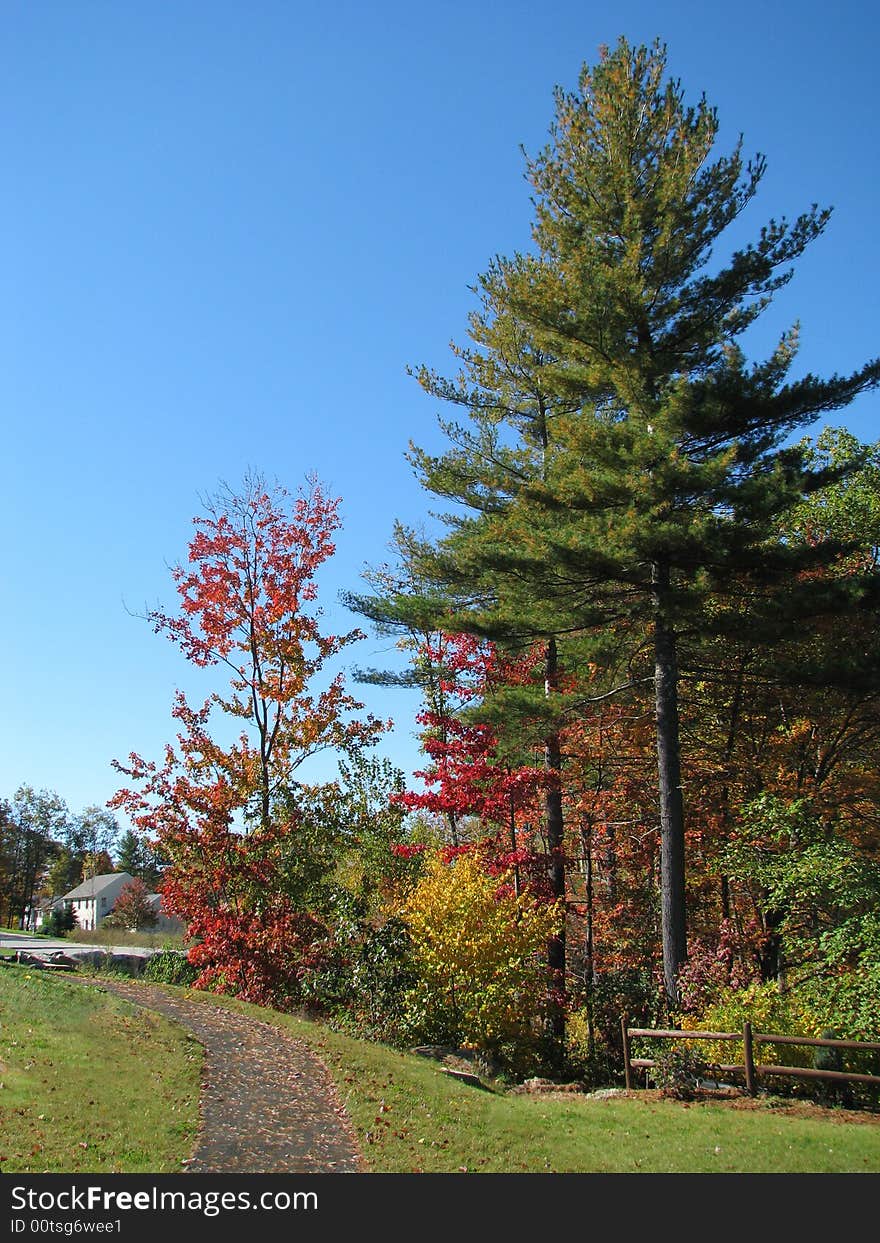 Nature of Ayer (Massachusetts) in autumn.