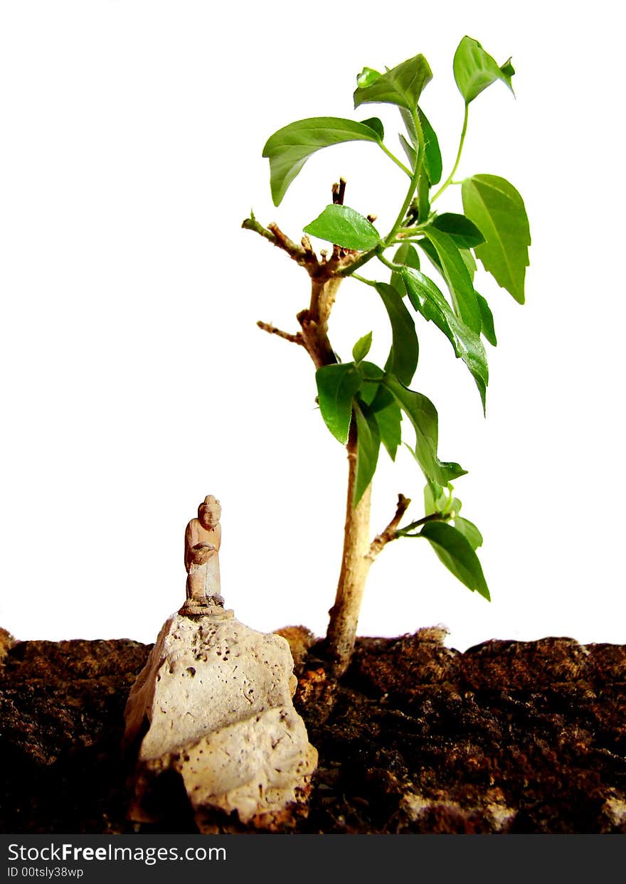 Photo is macro detail of a little tree ( Bonsai ). Statuette of monk which stay on rock is main detail of shot. Photo is macro detail of a little tree ( Bonsai ). Statuette of monk which stay on rock is main detail of shot.