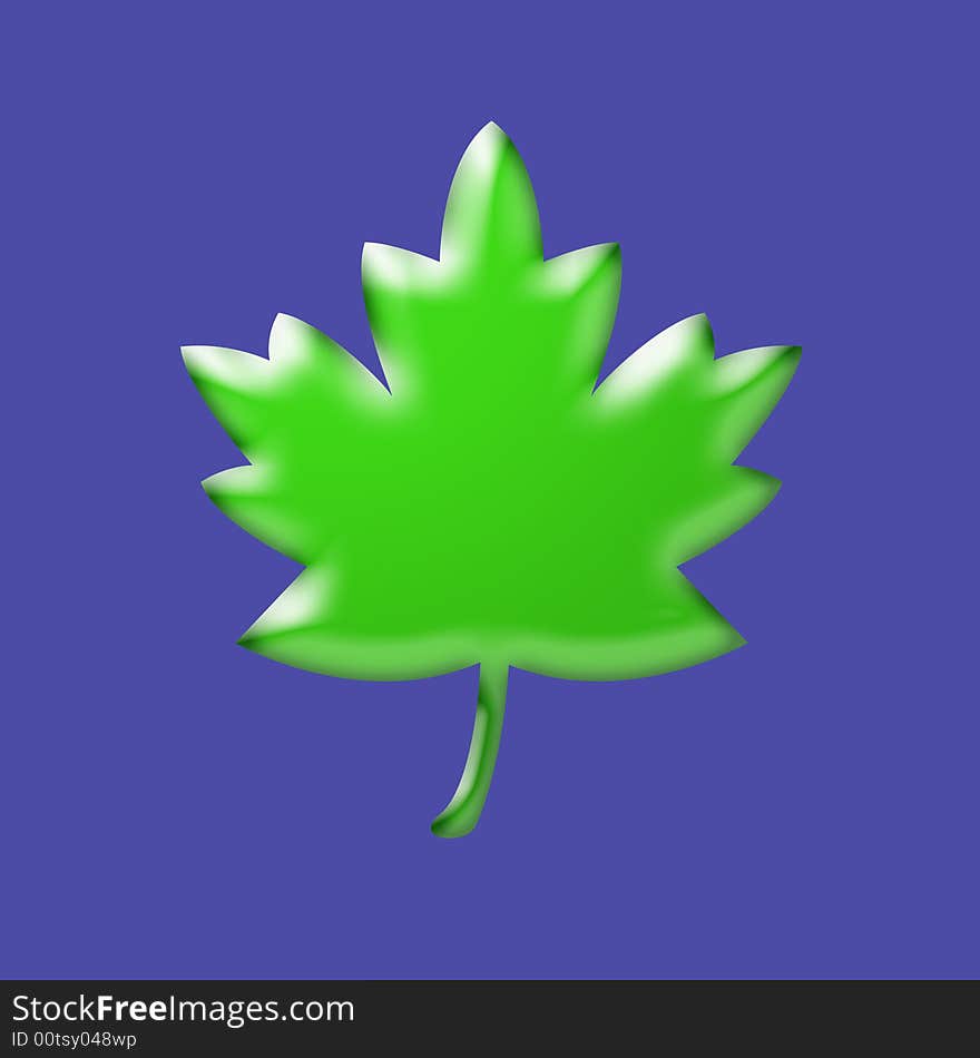 The leaf on the blue background. The leaf on the blue background