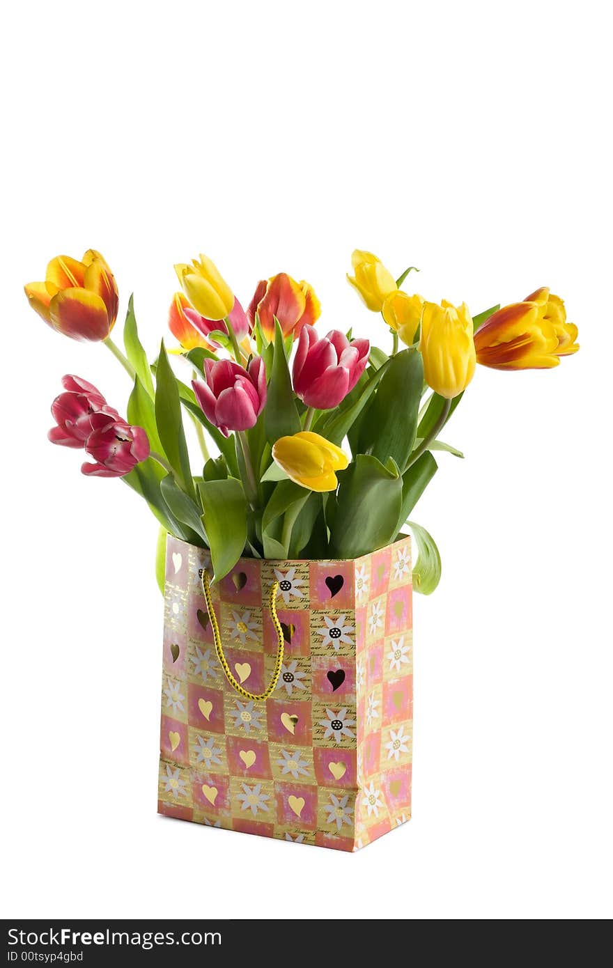 Colorfull tulips in bag isolated