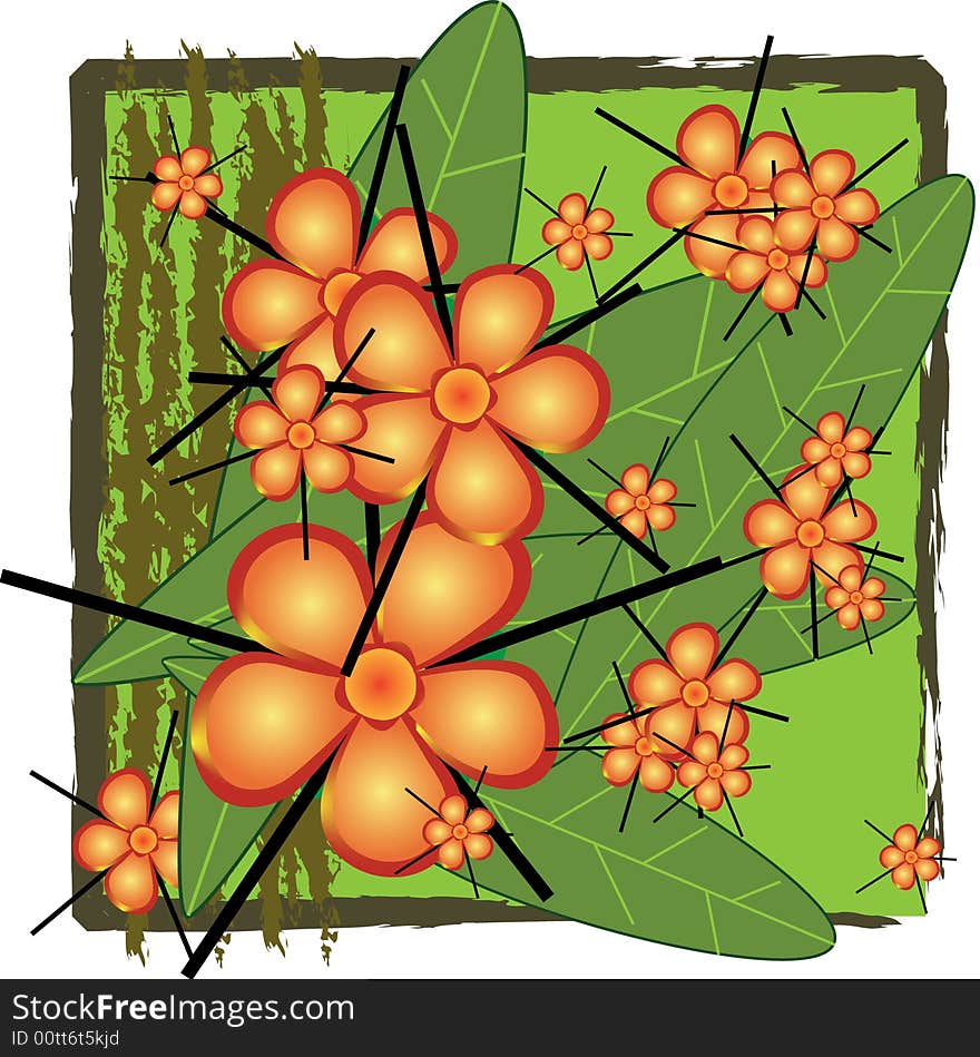 Vector illustration of the flowers, leaves, and bark of the Tembusu tree