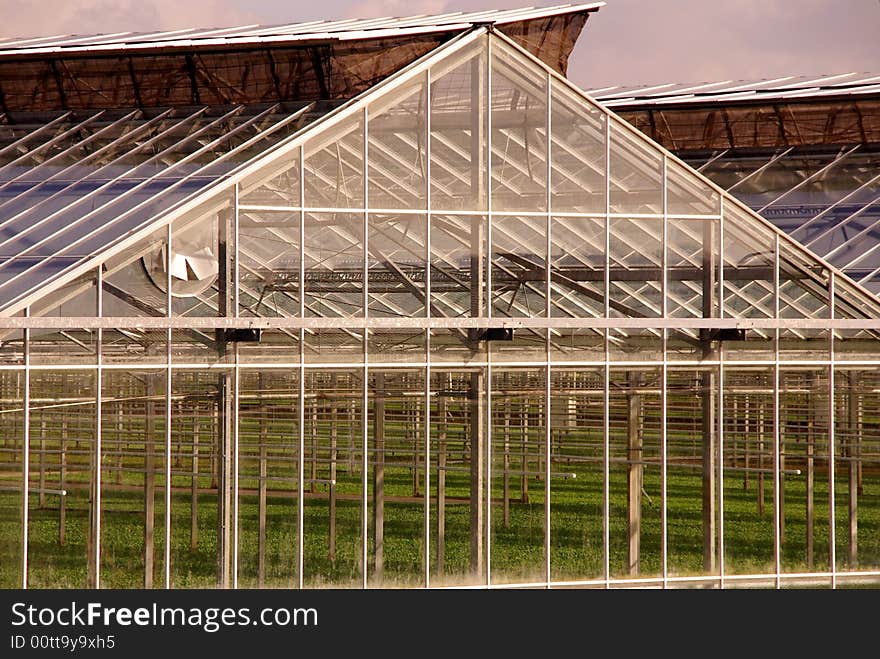 Greenhouse with vertical, horizontal and diagonal lines