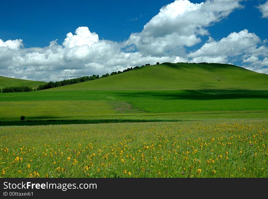 Scenic grassland in summer with clouds in the sky. Scenic grassland in summer with clouds in the sky.