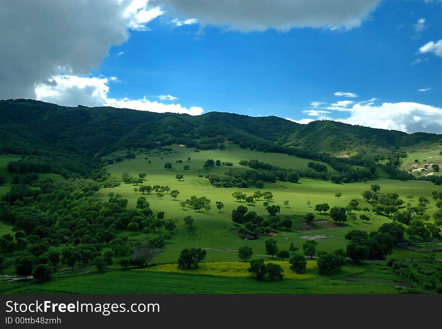 Mountain landscape with green grass and trees. Mountain landscape with green grass and trees.