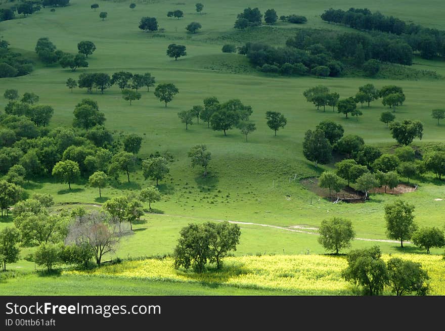 Mountain landscape with green grass and trees. Mountain landscape with green grass and trees.