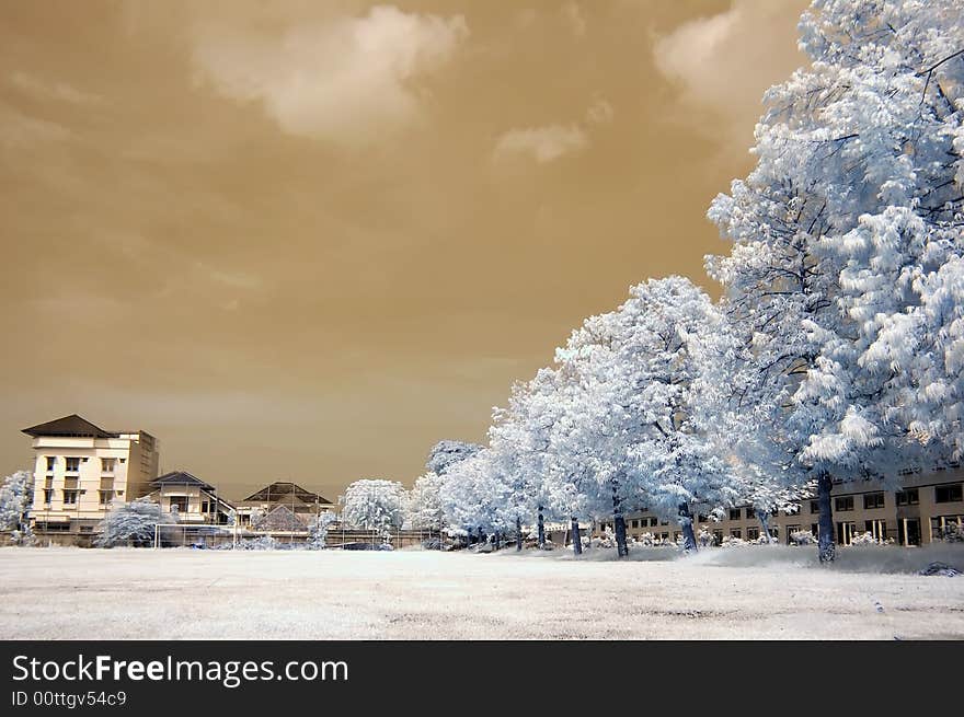 Photograph of a field, using infrared filter. The location is in Semarang, Indonesia. Photograph of a field, using infrared filter. The location is in Semarang, Indonesia.