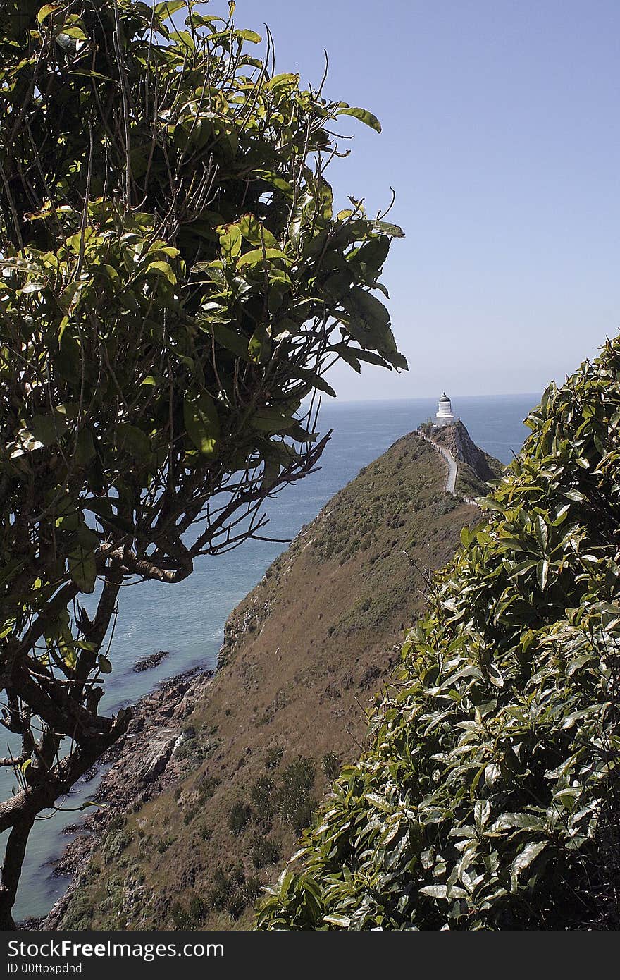 Lighthouse on Nugget point,South Island New Zealand. Lighthouse on Nugget point,South Island New Zealand