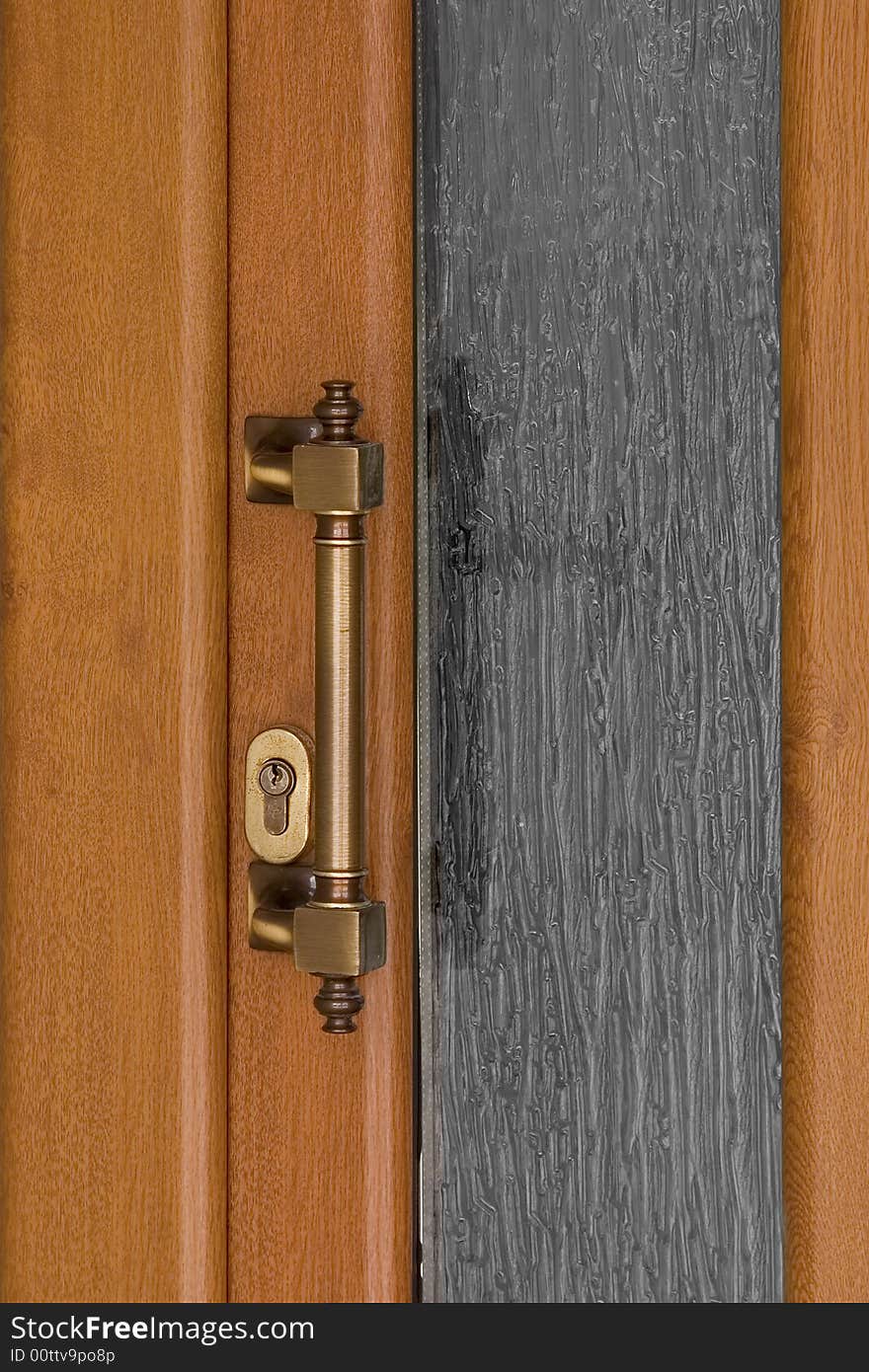 Door  with Elegant metal handle. Door  with Elegant metal handle