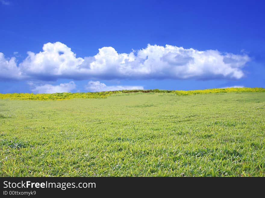 Blue sky and green field