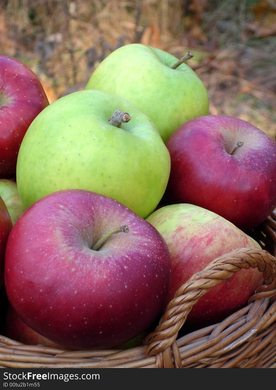 REd and green apples in a basket with woods behind. REd and green apples in a basket with woods behind