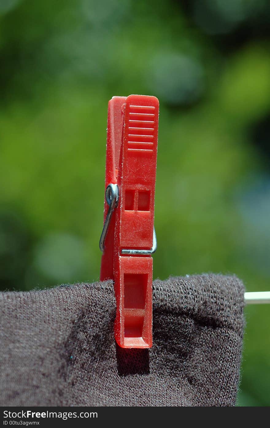 A red clothes peg on a washing line.  A macro image. A red clothes peg on a washing line.  A macro image.