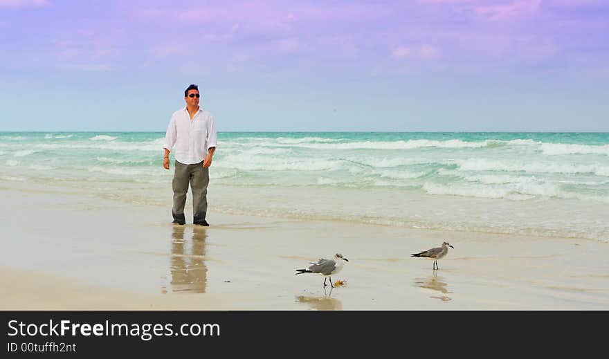 Man with Seagulls