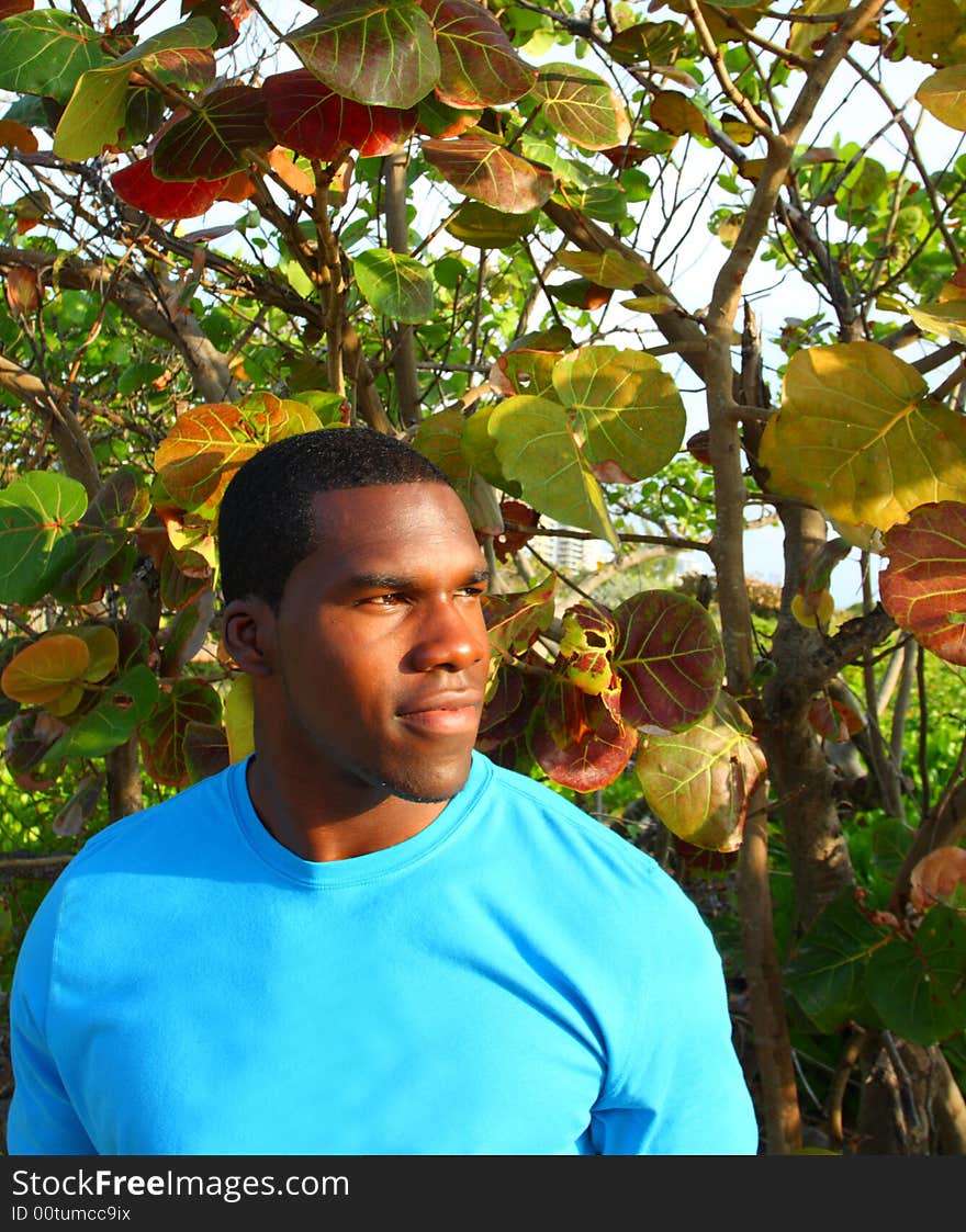 Man standing in front of trees. Man standing in front of trees