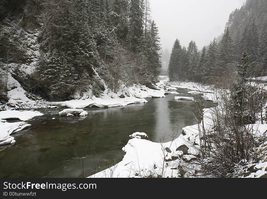 River and fir forest in winter, covered with fresh snow. Scuol, Graubunden, Switzerland. River and fir forest in winter, covered with fresh snow. Scuol, Graubunden, Switzerland