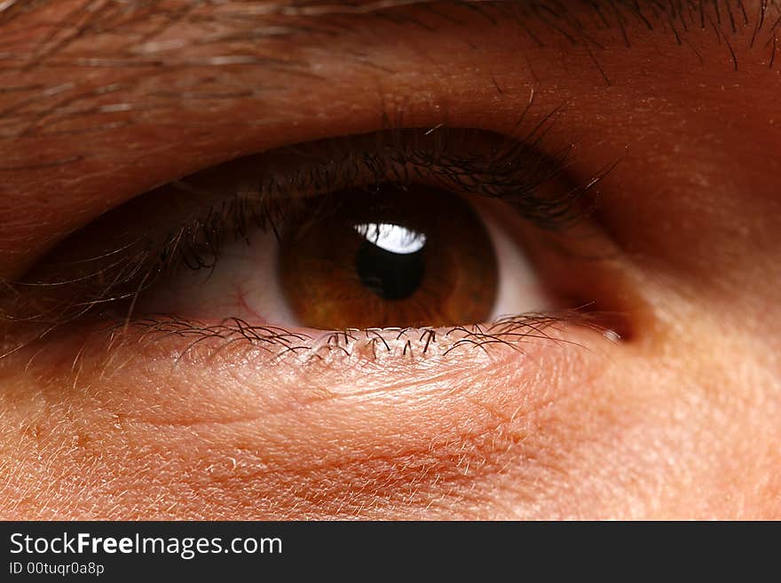 Very sharp and detail macro of eye