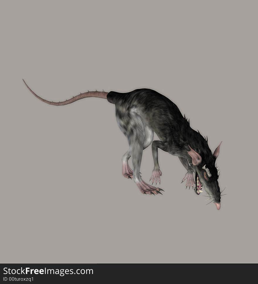 Digital rat for your artistic creations and/or projects. Digital rat for your artistic creations and/or projects