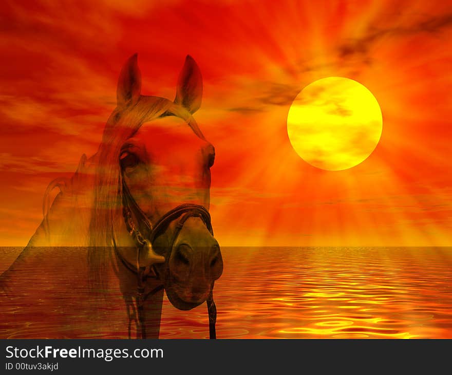 Horse portrait on a colorful sunset landscape. Horse portrait on a colorful sunset landscape