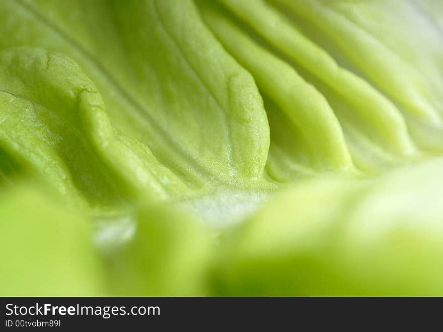 Detail of lettuce, suitable for background. Detail of lettuce, suitable for background