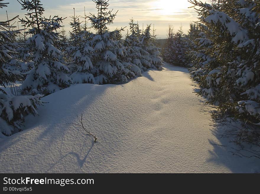 Winter sunset