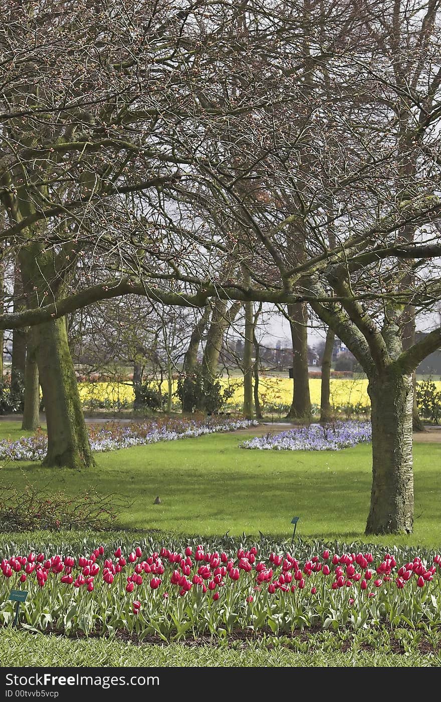 Keukenhof park in Holland in early Spring. Keukenhof park in Holland in early Spring