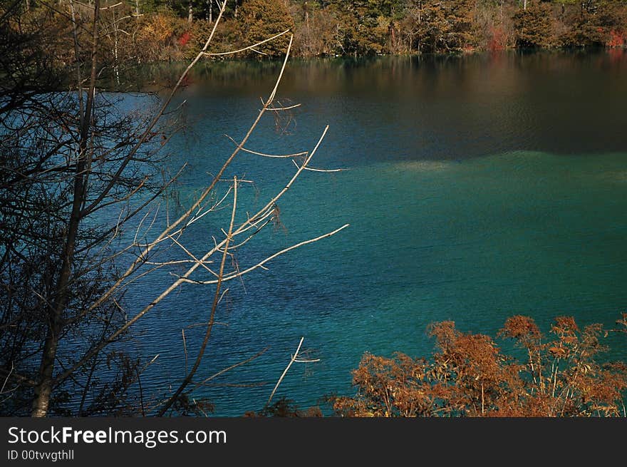 Lake In Jiuzhaigou