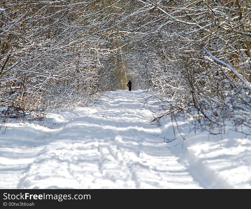 Man Walking Alone In White Snowy Forest Trail