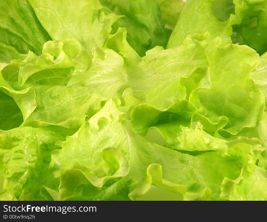 Leaves of salad