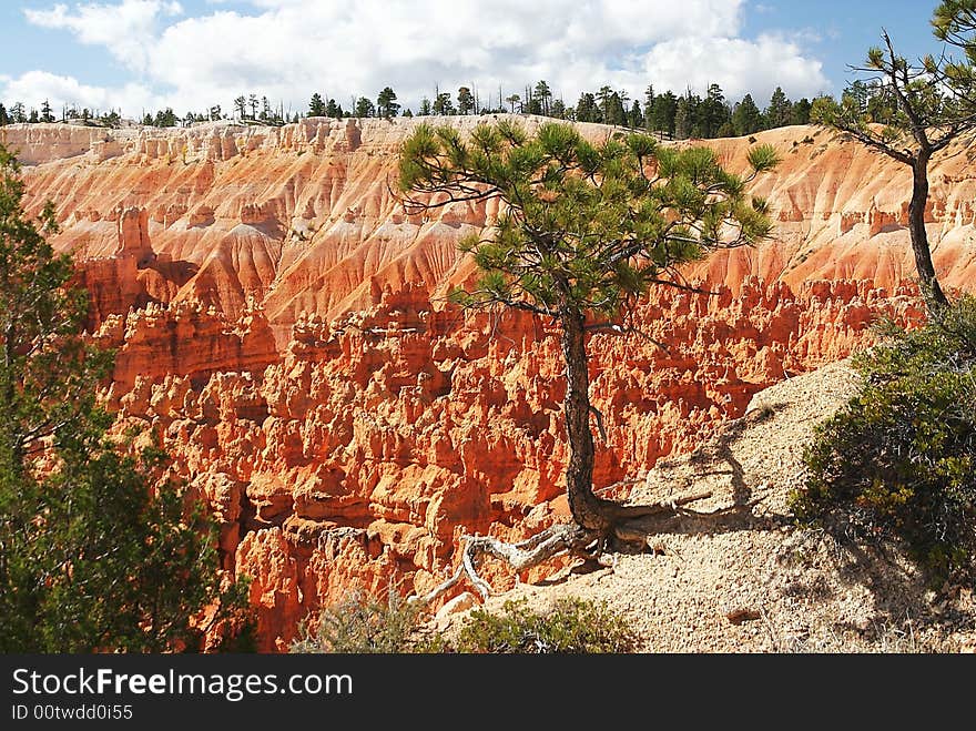 View of bryce canyon national park. View of bryce canyon national park