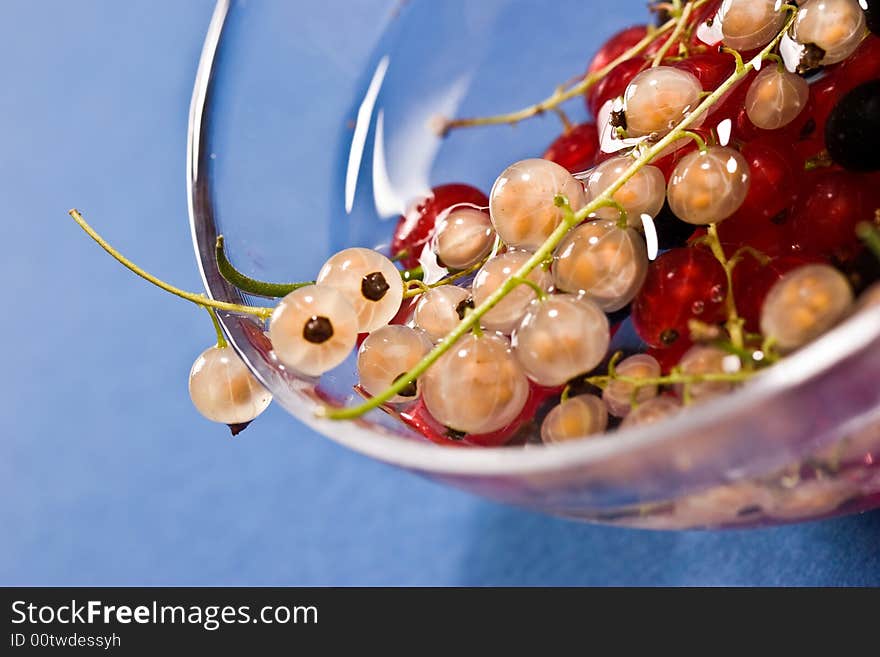 Red and white currant on the bow
