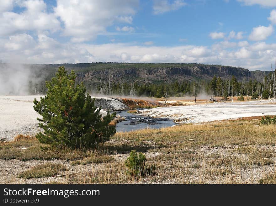 volcanic landscape in Yellowstone NP