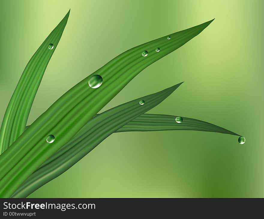 Green leaf with dewdrops